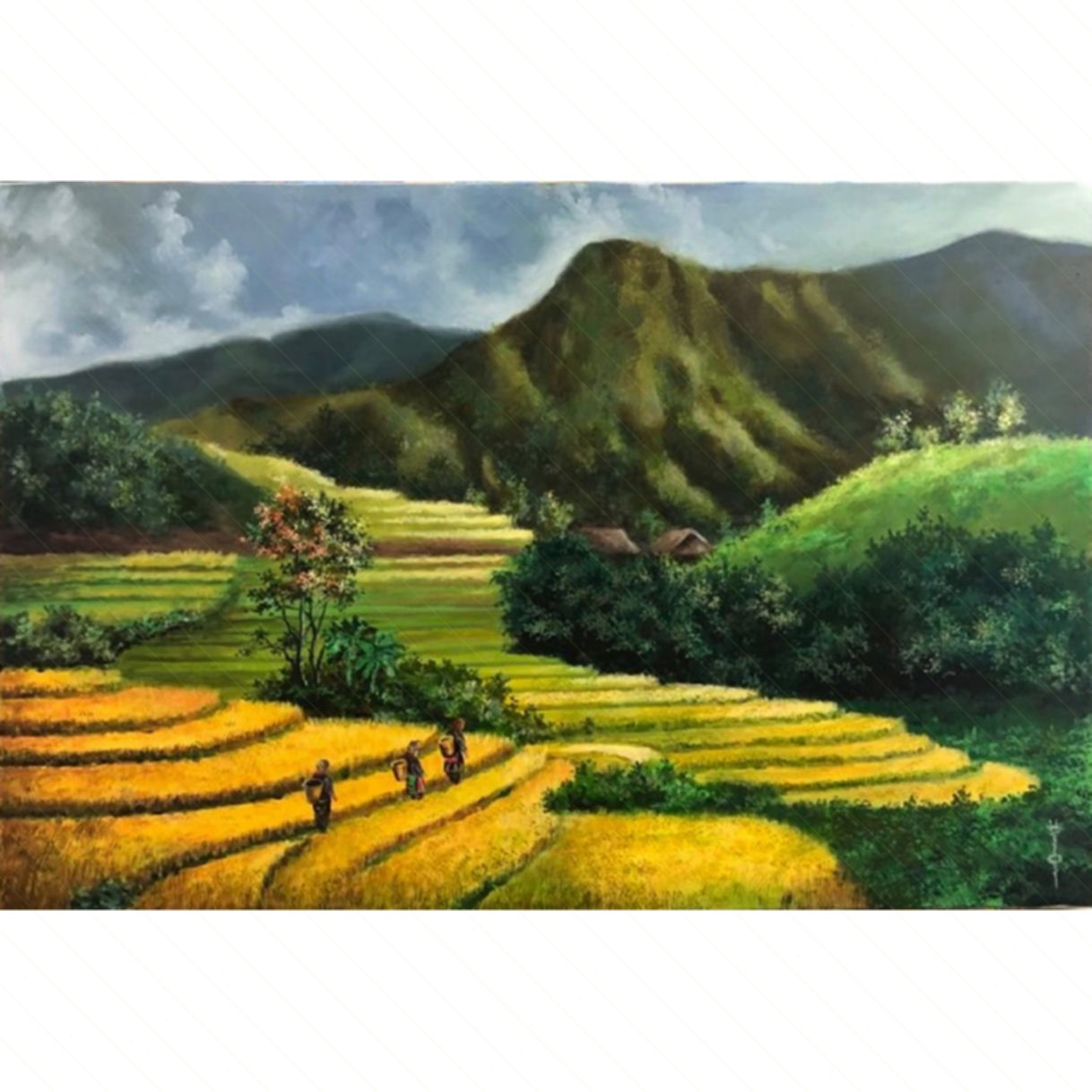 Tranh Nghệ Thuật Mùa Lúa Chín Acrylic 60x90cm Giấy Tác Quyền 