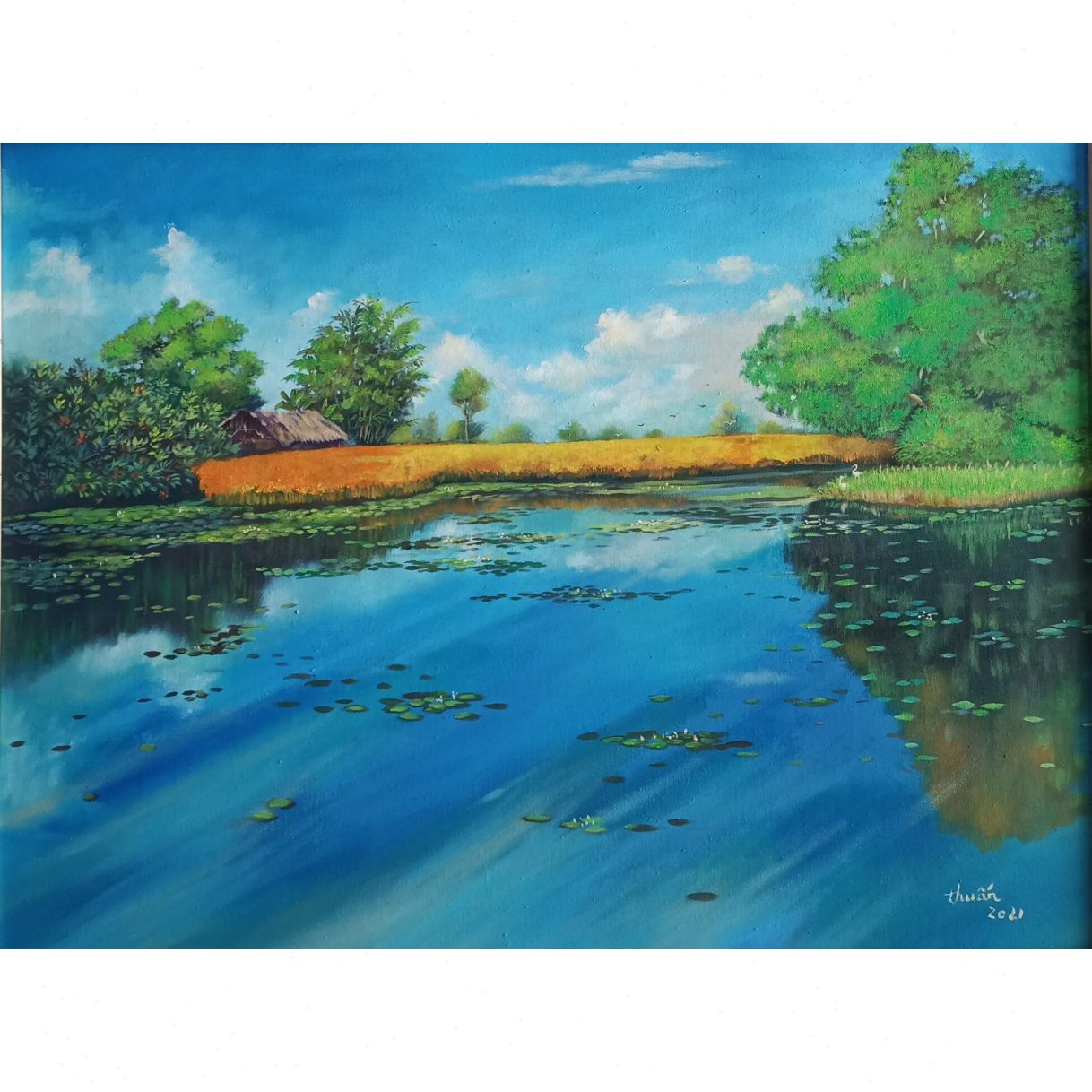 Tranh Sơn Dầu Lúa Vàng Đẹp 60x80cm Độc Bản 