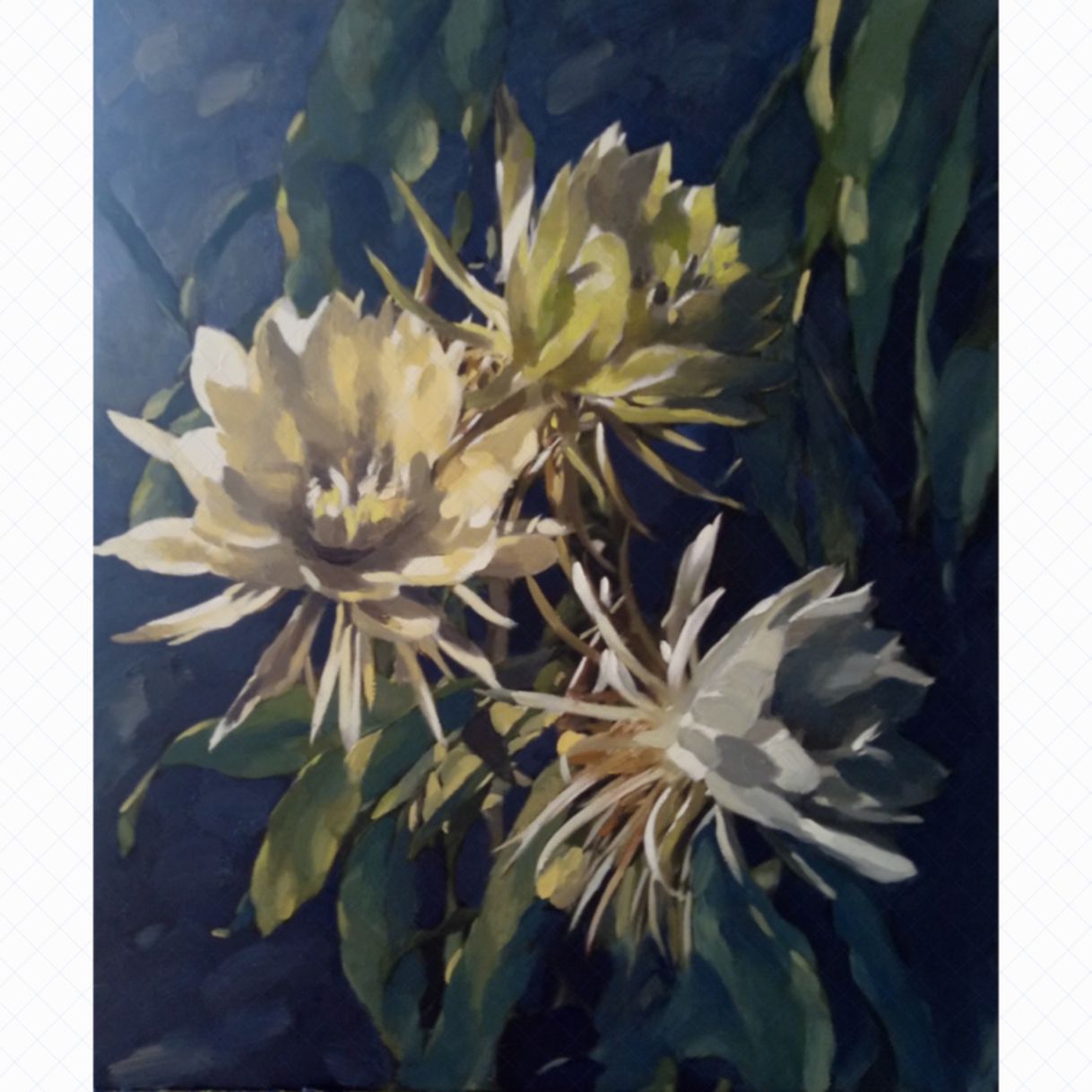 Tranh Sơn Dầu Đỗ Cường Quỳnh Hương Kích Thước 60x50 cm 
