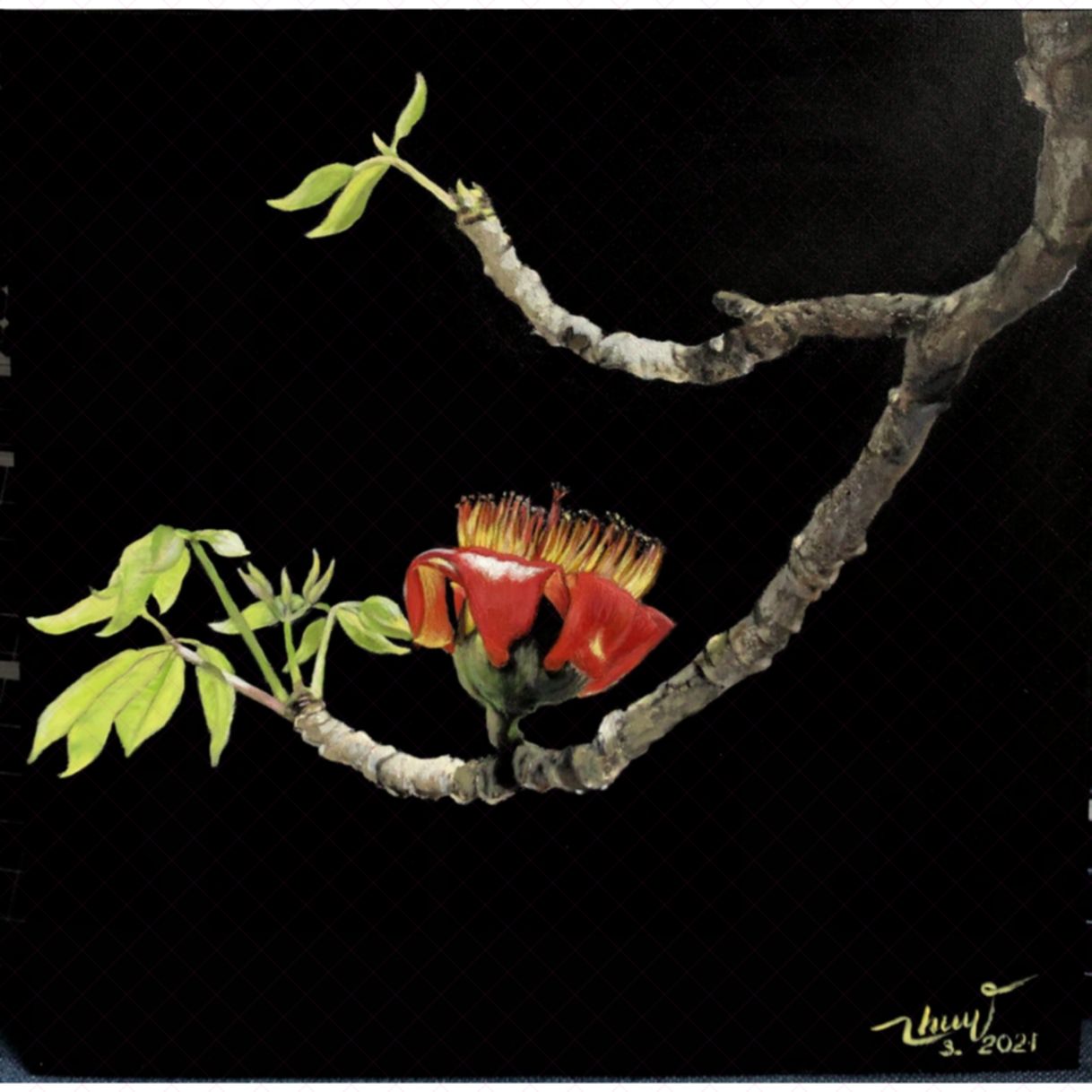Thu Thủy Hoa Gạo Acrylic Canvas 50x50cm Sáng Tác 2021 